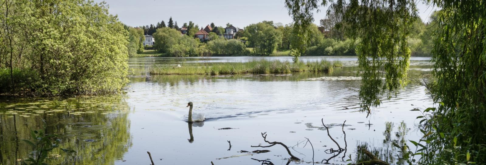 alt tekst